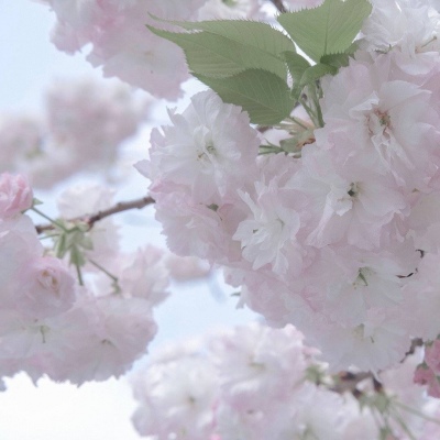 惠民FurryQQ群介绍